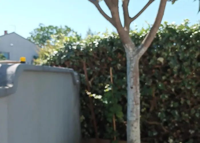 Monte Magno Appartement