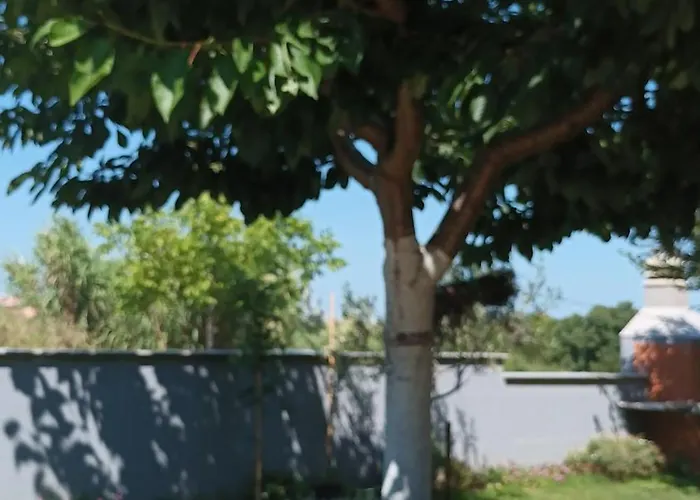 Appartement Monte Magno *