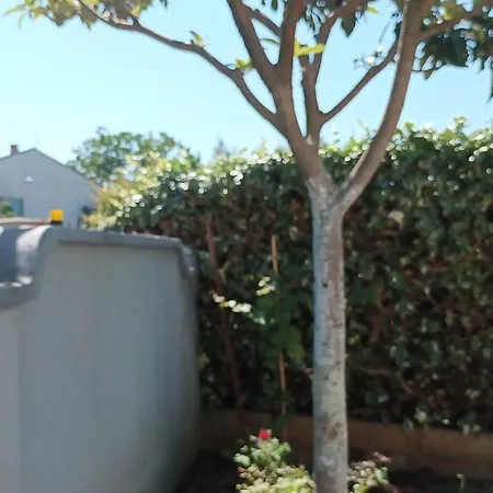 Monte Magno Apartamento