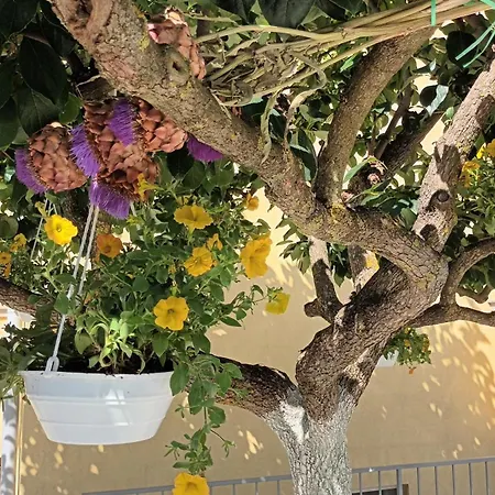 Monte Magno Apartamento *