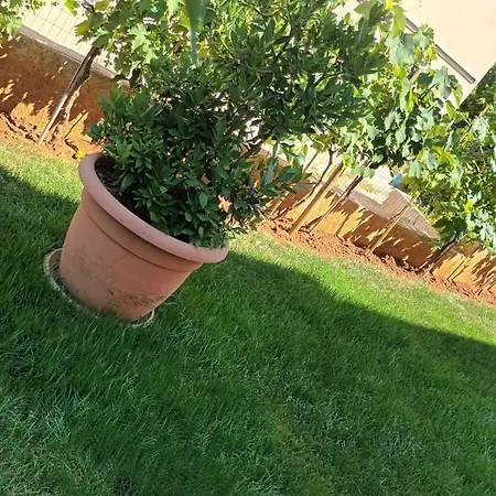 Monte Magno Apartamento