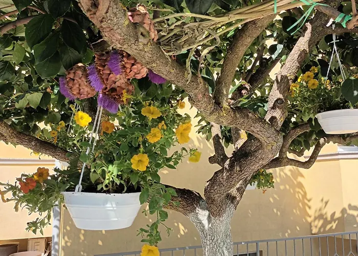 Monte Magno Apartamento *