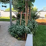 Apartment Monte Magno Pula
