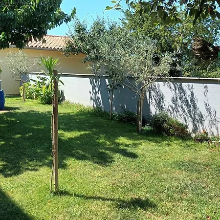 Monte Magno Póla