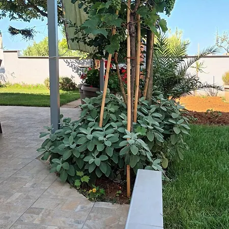 Apartman Monte Magno Póla