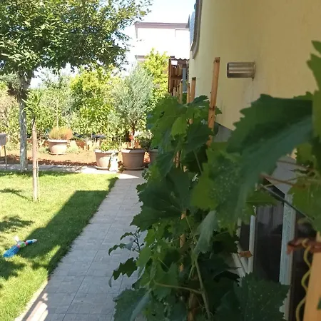 Monte Magno Póla