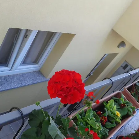 Monte Magno Appartement Pula