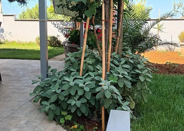 Apartman Monte Magno Póla