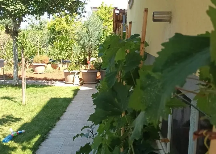 Monte Magno Póla