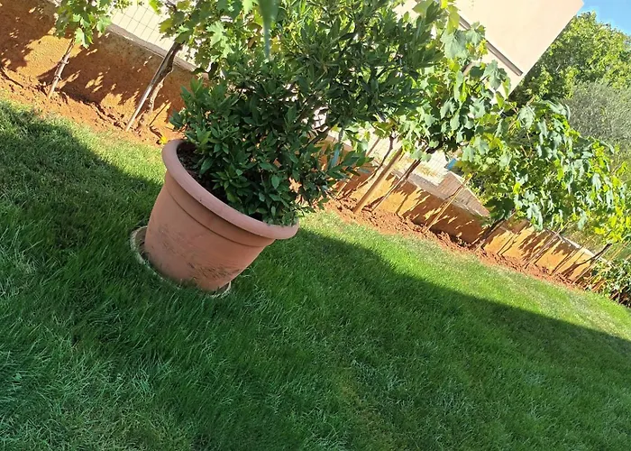 Monte Magno Apartman